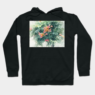 Tecoma blossom Hoodie